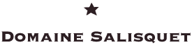Logo Domaine Salisquet
