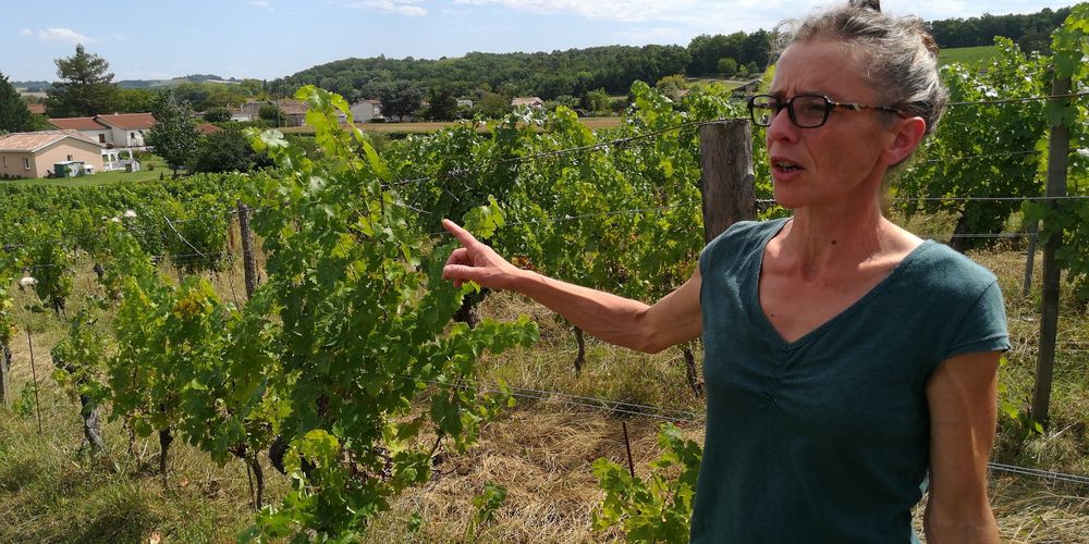 audrey-chassenard-cultive-vins-rouges-et-rose