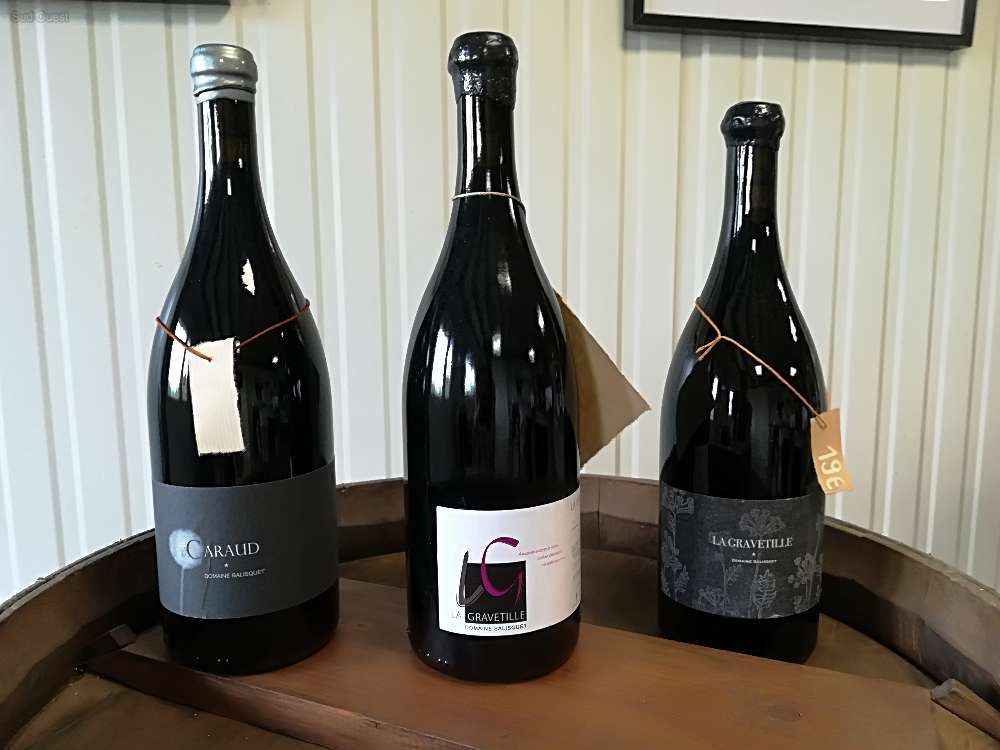 les vins rouge du domaine Salisquet en Magnum